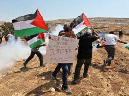 palestina israel gencatan senjata
