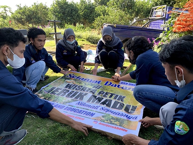 agrowisata kebun jeruk madu kukerta Universitas Riau