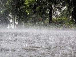 Diguyur Hujan, Padang Panjang Kebanjiran