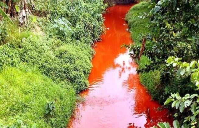 Air Sungai Di Karawang Berubah Jadi Merah Darah