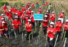 Yayasan Wings Peduli