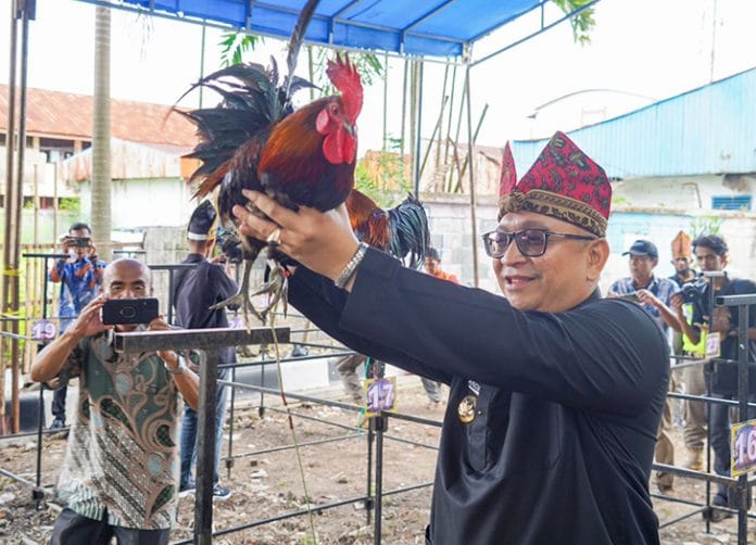 kota padang ayam kukuak balenggek