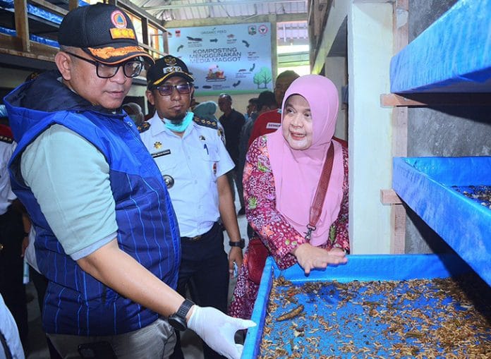 kota padang maggot