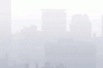 Header (1) (1)