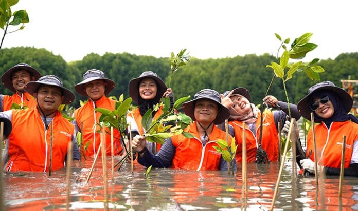 Foto 3. Sebanyak 50 karyawan Hankook bergotong royong bersama Dinas Lingkungan Hidup Kabupaten Bekasi dan warga Desa Muara Gembong melakukan penanam mangrove. Hankook
