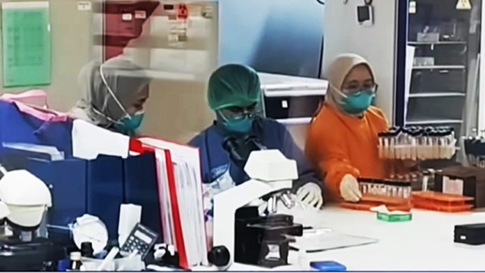 Keracunan Program Makan Bergizi Gratis, Labkesda Jabar Temukan Bakteri Salmonella
