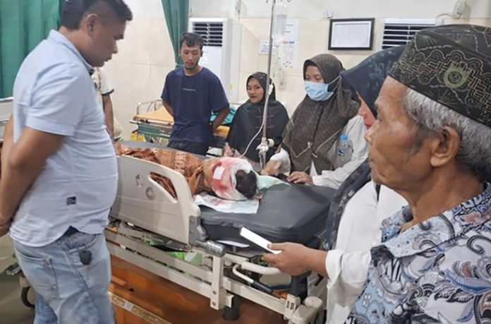 Seorang petani karet bernama Sutini (50) menjadi korban serangan beruang liar saat sedang beraktivitas di kebunnya di Desa Suka Damai, Kecamatan Mestong, Kabupaten Muaro Jambi, Provinsi Jambi, pada Rabu (29/10/2025) sekitar pukul 09.00 WIB.