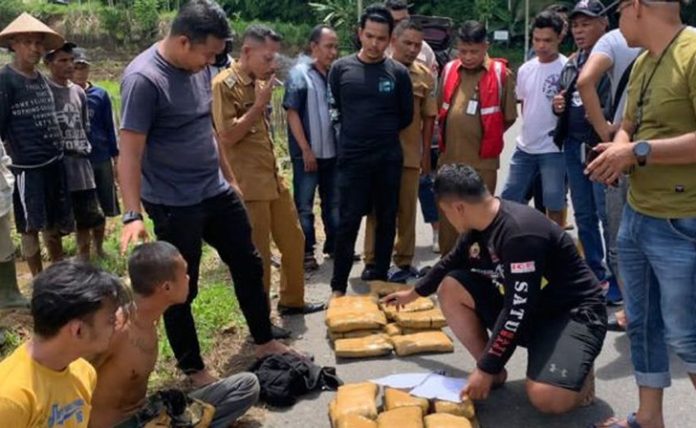 Aksi Tegang di Pasaman, Polisi Lumpuhkan Kurir Narkoba Bersenjata!