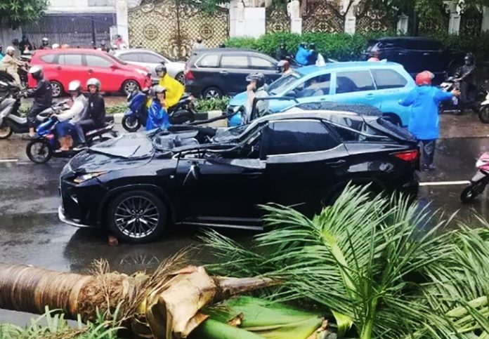 Tewas Tertimpa Pohon Palem di Pondok Indah Saat Hujan Deras Hujan deras disertai angin kencang yang melanda wilayah Jakarta Selatan pada Minggu (26/10/2025) sore menimbulkan petaka. Sebuah pohon palem berukuran besar tumbang di Jalan Arteri Pondok Indah, Kebayoran Lama, dan menimpa sebuah mobil yang tengah melintas. (Beritasatu.com/Taufik Hidayat)