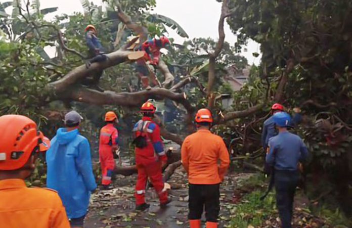 Hujan deras disertai angin kencang dan pohon tumbang menyebabkan puluhan bangunan rusak di Kabupaten Bogor. Badan Penanggulangan Bencana Daerah (BPBD) Bogor mencatat sebanyak 41 rumah dan satu ruang sekolah terdampak. (Foto: DetikNews, Dok Istimewa)