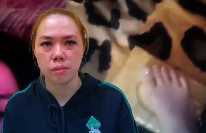 Seorang aparatur sipil negara (ASN) di Kabupaten Kepahiang, Bengkulu, berinisial VA, menyampaikan permintaan maaf secara terbuka setelah videonya menginjak kitab suci Al-Qur'an viral di media sosial.