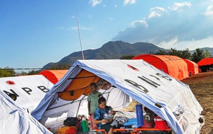 Miris! Pengungsi Gunung Lewotobi Setahun Hidup, Berjuang di Tenda Darurat