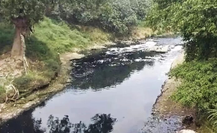 DLH Bogor Segel Pabrik Pakan Ternak yang Buang Limbah ke Sungai Cileungsi