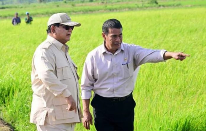 Efisiensi Prabowo Berbuah Manis: Harga Pupuk Subsidi Anjlok 20%!