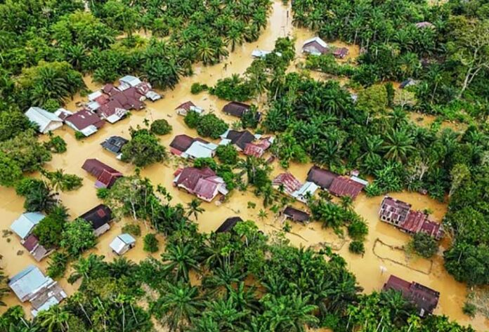 Badan Nasional Penanggulangan Bencana (BNPB) merilis pembaruan data korban bencana banjir dan longsor yang melanda sejumlah wilayah di Provinsi Aceh.