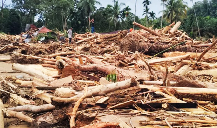 Fakta Mengerikan di Balik Kayu Gelondongan Banjir Sumut Greenpeace: Harus Diusut Tuntas!