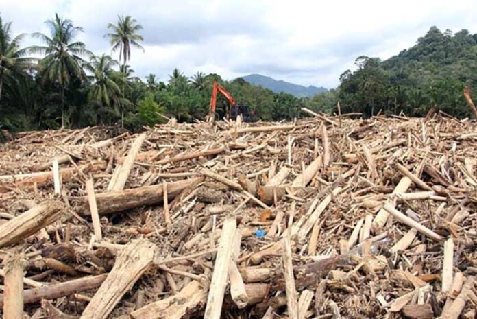 Kementerian Kehutanan (Kemenhut) tengah menelusuri sumber ribuan kayu gelondongan yang terbawa banjir di sejumlah wilayah Sumatera.