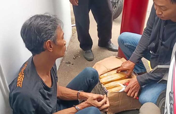 Polda Metro Jaya menangkap seorang pria berinisial M (51) yang diduga sebagai pengedar narkoba jenis ganja di kawasan Cengkareng, Jakarta Barat. (Foto: Istimewa)