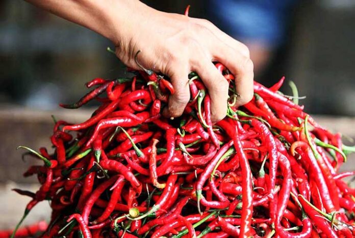 Gelombang kenaikan harga cabai kembali melanda sejumlah pasar tradisional di Kabupaten Siak.