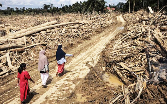 Badan Nasional Penanggulangan Bencana (BNPB) merilis data terbaru terkait dampak bencana banjir dan longsor yang melanda tiga provinsi di Pulau Sumatera pada Kamis (18/12/2025).