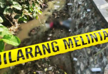 Kasus Pembunuhan Mahasiswi UMM: Oknum Polisi Ditangkap, Pelaku Lain Diburu Jasad korban ditemukan dalam kondisi tidak bernyawa di Jalan Raya Purwosari-Pasuruan, tepatnya di Kecamatan Wonorejo, Kabupaten Pasuruan, sehingga menguatkan dugaan adanya peristiwa pembunuhan yang terjadi di lokasi tersebut.