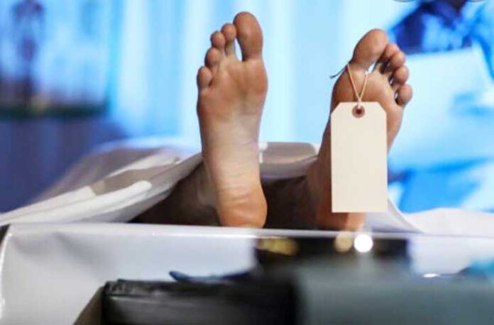 Kecelakaan lalu lintas tragis merenggut nyawa seorang ibu dan anaknya di Jalan Raya Cileungsi-Jonggol, Kecamatan Cileungsi, Kabupaten Bogor, Jawa Barat, Sabtu (6/12/2025) siang. Ilustrasi (Foto: SinPo.id/ Pixabay)