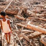 Bencana Aceh Jadi Sorotan Dunia, UNICEF–UNDP Terima Surat Permintaan Bantuan Bencana Aceh Jadi Sorotan Dunia, UNICEF–UNDP Terima Surat Permintaan Bantuan