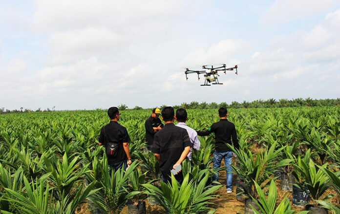 Kasus Terra Drone Jadi Bandingan, Jamiluddin: Jangan Takut, Bongkar Korporasi Perusak Hutan di Sumatera!