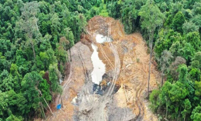 Pemerintah Tindak Keras Penambang Ilegal di Hutan, Denda Tembus Rp6,5 Miliar