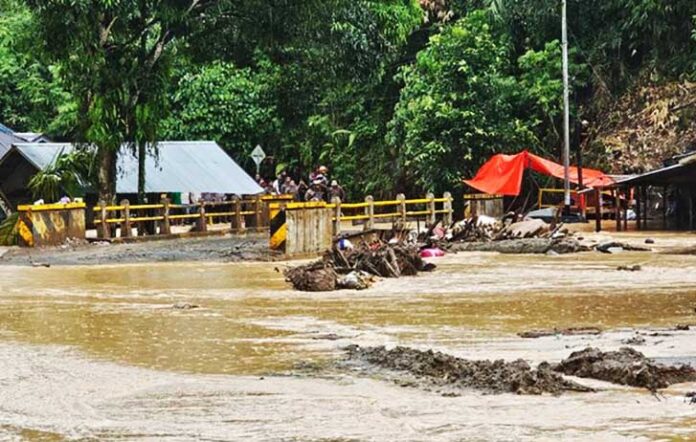 Pantauan awak media pada pukul 17.00 WIB menunjukkan debit air Sungai Batang meningkat signifikan. Kayu-kayu gelondongan yang sebelumnya terdampar pascagalodo ikut terseret arus dan terlihat tersangkut di jembatan, menghambat aliran sungai.