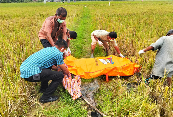 Petugas mengevakuasi jenazah yang ditemukan meninggal dunia di area persawahan. (Ilustrasi, Foto: Dokumen Kepolisian)