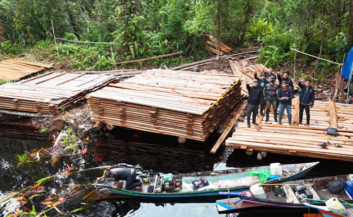 Aksi Ekstrem! Polres Riau Tempuh 12 Jam di Sarang Predator untuk Bongkar Pembalakan Liar