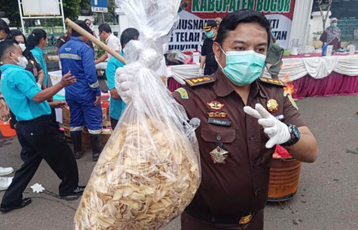 Kepala Seksi Pemulihan Aset dan Pengelolaan Barang Bukti Kejari Kabupaten Bogor, Rinaldy Adriansyah, mengungkapkan bahwa keripik pisang tersebut disemprot dengan cairan yang mengandung zat narkotika.