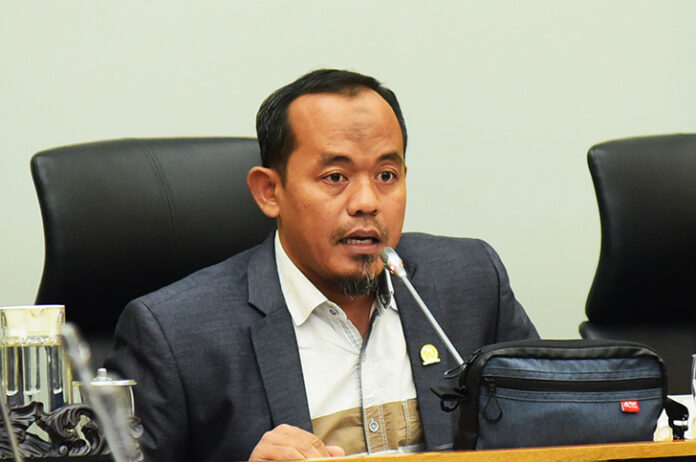 DPR Akhirnya Turun Tangan: Penebangan Legal dan Ilegal Dihentikan Total