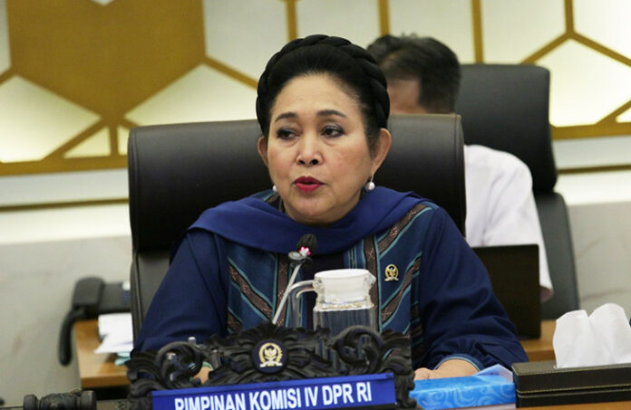Komisi IV Titiek Soeharto Desak Penindakan Tegas: Alih Fungsi Lahan Jadi Fokus Pengawasan DPR