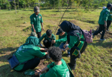 Yayasan WINGS Peduli dan Pemkot Surabaya Tanam 1.000 Pohon di Pesisir Romokalisari, Perkuat Konservasi Lingkungan Yayasan WINGS Peduli